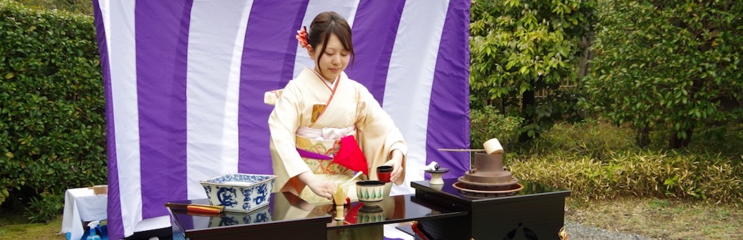 京都大学医学部茶道部_野点